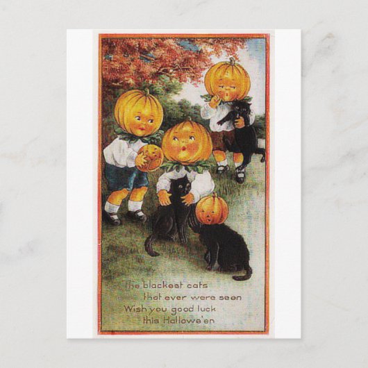 Pompoenen en katten  Halloween Briefkaart (Voorkant)