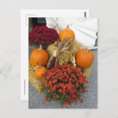 Pompoenen en matrozen briefkaart (Voorkant / Achterkant)