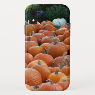 Pompoenen en Mums Herfst Oogst Fotografie iPhone XR Hoesje