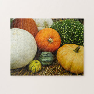 Pompoenen en pompoenen legpuzzel