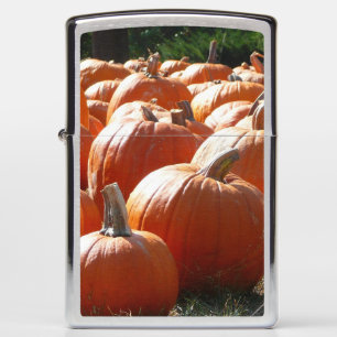 Pompoenen Foto voor Herfst, Halloween of Thanksgiv