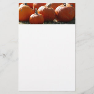 Pompoenen Foto voor Herfst, Halloween of Thanksgiv