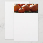 Pompoenen Foto voor Herfst, Halloween of Thanksgiv (Voorkant / Achterkant)