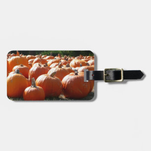 Pompoenen Foto voor Herfst, Halloween of Thanksgiv Bagagelabel