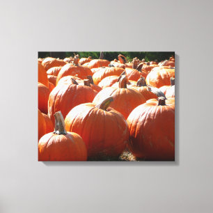 Pompoenen Foto voor Herfst, Halloween of Thanksgiv Canvas Afdruk