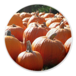 Pompoenen Foto voor Herfst, Halloween of Thanksgiv Keramische Knop