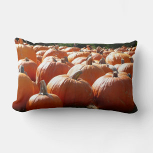 Pompoenen Foto voor Herfst, Halloween of Thanksgiv Kussen