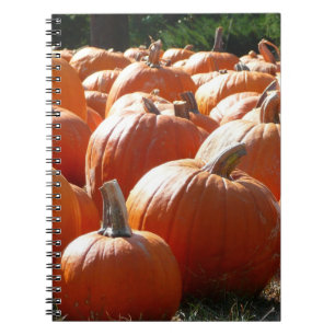 Pompoenen Foto voor Herfst, Halloween of Thanksgiv Notitieboek