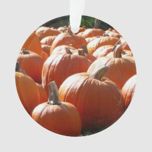 Pompoenen Foto voor Herfst, Halloween of Thanksgiv Ornament