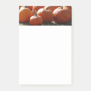 Pompoenen Foto voor Herfst, Halloween of Thanksgiv Post-it® Notes