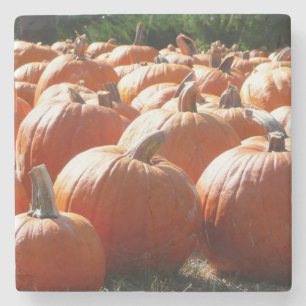 Pompoenen Foto voor Herfst, Halloween of Thanksgiv Stenen Onderzetter