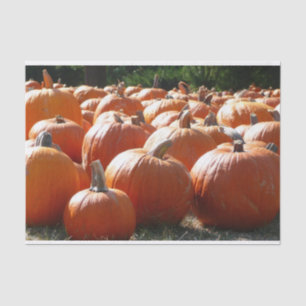 Pompoenen Foto voor Herfst, Halloween of Thanksgiv Tissuepapier