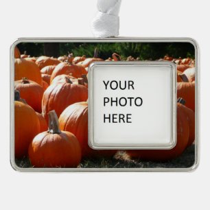 Pompoenen Foto voor Herfst, Halloween of Thanksgiv Verzilverd Kader Ornament
