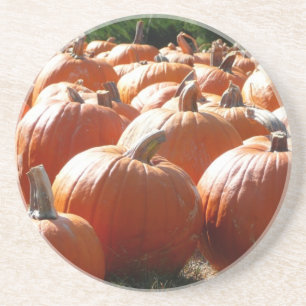 Pompoenen Foto voor Herfst, Halloween of Thanksgiv Zandsteen Onderzetter