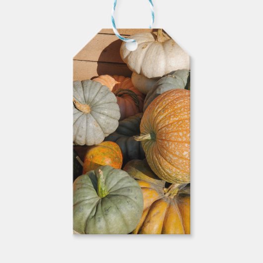Pompoenen in de Herfst Cadeaulabel (Voorkant)