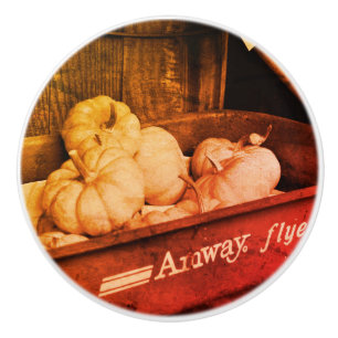 Pompoenen in de oude wagon in de Vintage Sepia Keramische Knop