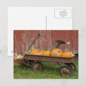 Pompoenen in oude wagen briefkaart (Voorkant / Achterkant)
