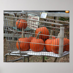 Pompoenen In Winkelwagen Land Herfst Poster