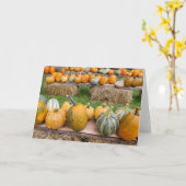 Pompoenen Kaart (Gele Bloem)