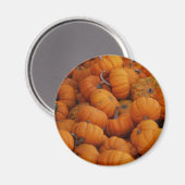 pompoenen magneet (Voorkant / Achterkant)