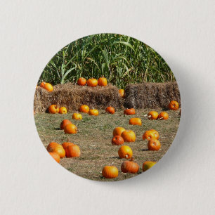 Pompoenen, maïs en hooi herfst oogst fotografie ronde button 5,7 cm