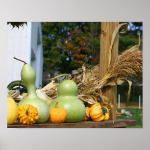Pompoenen Maisstengels Boerenkraam Herfst Poster