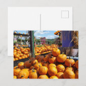 pompoenen op de markt briefkaart (Voorkant / Achterkant)