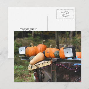 Pompoenen op vrachtwagenland gepersonaliseerd briefkaart