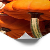 Pompoenen Poster (Hoek)