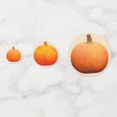 Pompoenen Tafelconfetti voor Thanksgiving Confetti (Voorkanten)