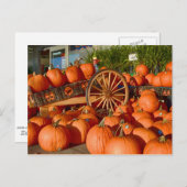 Pompoenen te koop briefkaart (Voorkant / Achterkant)