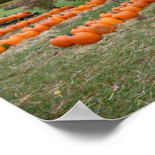 Pompoenen te koop, New York Boerderij Poster (Hoek)