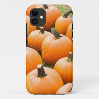 Pompoenen voor verkoop op de markt van een boer iPhone 11 hoesje