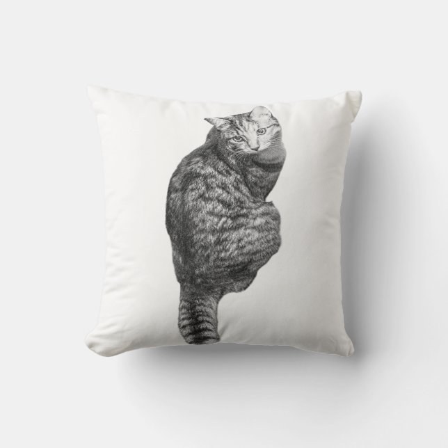 pompoenglimwhiskers kussen (Voorkant)