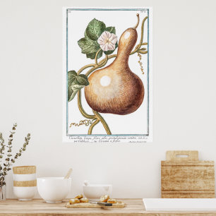  pompoenillustratie van Giorgio Bonelli Poster