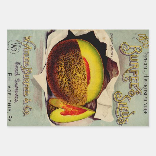 Pompoenlabel Antiek vlindermerk Inpakpapier Vel (Voorkant 3)