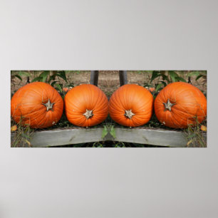 Pompoenpaar Herfst Spiegel Abstract Poster