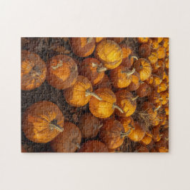 pompoenpatch puzzel