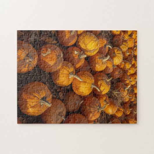 pompoenpatch puzzel (Horizontaal)