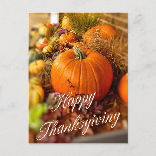 Pompoenscherm Briefkaart (Voorkant)