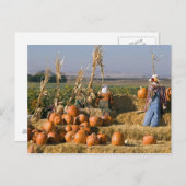 Pompoenscherm met hooibalen en spuitbussen briefkaart (Voorkant / Achterkant)