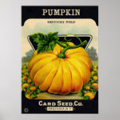  pompoenzaadpakket - Afdrukken Poster (Voorkant)