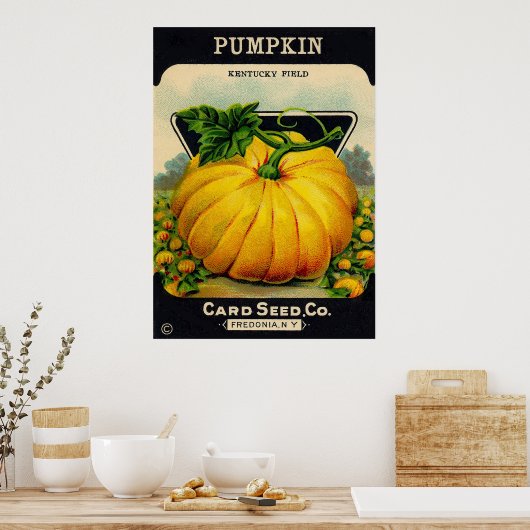  pompoenzaadpakket - Afdrukken Poster (Keuken)