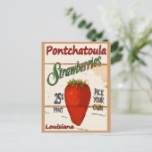 Ponchatoula Aardbeien Kaart (Staand voorkant)