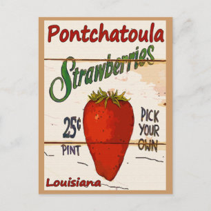 Ponchatoula-aardbeienkaart Briefkaart