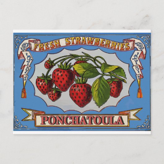 Ponchatoula, LA Aardbeien Briefkaart (Voorkant)