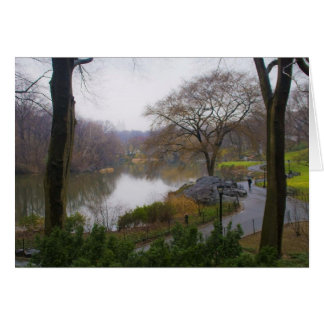 Pond (2) - Central Park NYC