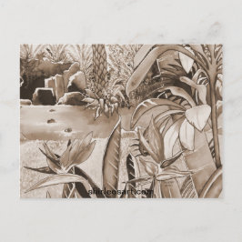 Pond bij ananaswerving briefkaart