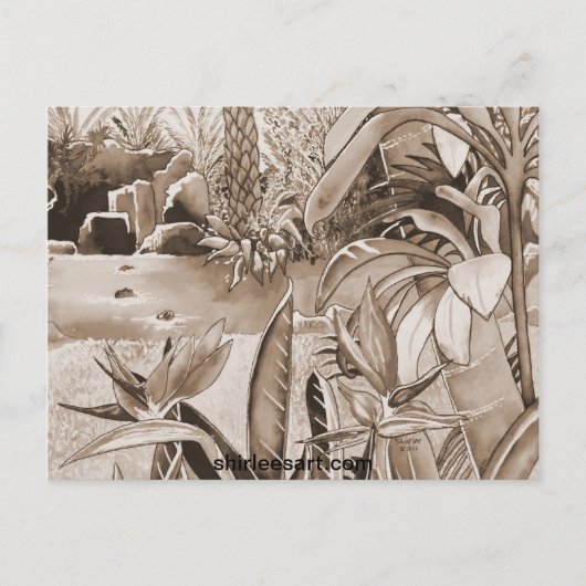 Pond bij ananaswerving briefkaart (Voorkant)