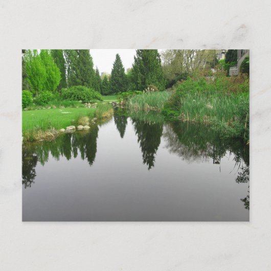 Pond bij Vancouver, BC Briefkaart (Voorkant)